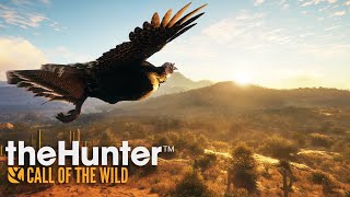 RANCHO DEL ARROYO IS HERE  TheHunter Call of the Wild [upl. by Alien41]