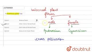 A dioecious plant has [upl. by Aniloj]