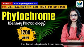 PHYTOCHROME  CSIRNET  GATE  Plant Biology  Sensory photobiology [upl. by Adyela]