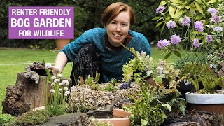 How to make a bog garden in an old tyre  Nature Break [upl. by Andryc951]