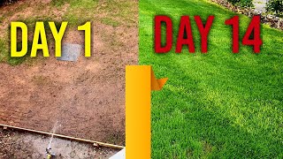 Watering new grass seed day 1 7 14  4 Week Time Lapse [upl. by Repmek]