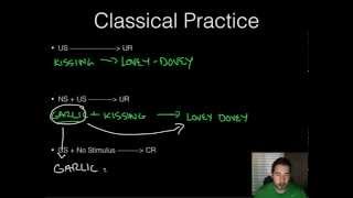 AP Psychology  Learning  Part 1  Classical Conditioning [upl. by Ahsieuqal]