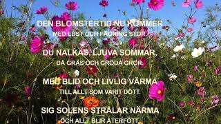 Den blomstertid nu kommer  LYRICS [upl. by Ratcliffe757]