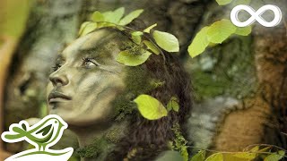 Dance of Life Relaxing Celtic Music for Meditation amp Sleep by Peder B Helland [upl. by Gilbye923]