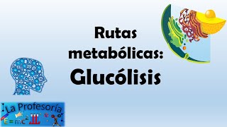 Rutas metabólicas Glucólisis [upl. by Nauj]