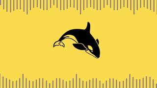 Orca Whale Noise AudioSound [upl. by Jacie]