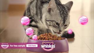 Whiskas Cat Food [upl. by Cacia799]