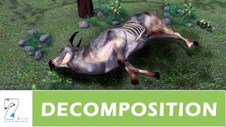 DECOMPOSITION  PART 01 [upl. by Ecirahs]