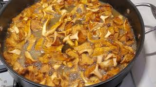 Cooking Chanterelle Mushrooms Dry sautéed method [upl. by Larimer]