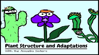 OLD VIDEO Plant Structure and Adaptations [upl. by Sufur]