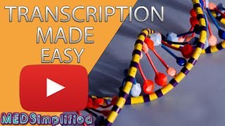 Transcription Made Easy From DNA to RNA 2019 [upl. by Shina]