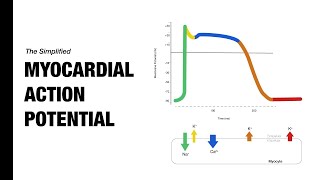 Ventricular Action Potential  Medzcool [upl. by Schick36]