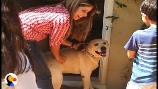 Missing Dog Reunites With Family A YEAR Later  The Dodo [upl. by Sherri178]