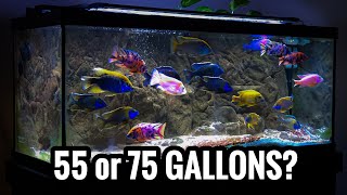 Which African Cichlids for a 55 and 75 Gallon Aquarium [upl. by Nuawad]