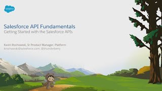 Salesforce API Fundamentals [upl. by Hill528]