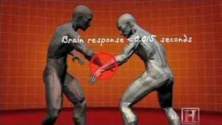 Human Weapon  Krav Maga  360 Defense [upl. by Ecirtaeb851]