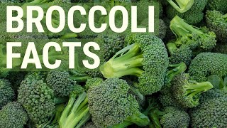 6 Healthy Facts About Broccoli You May Not Know About [upl. by Abbey]