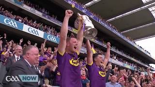 Kilkenny vs Wexford  2019 Leinster SHC Final Highlights [upl. by Annahs]