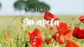 Juan Luis Guerra 440  Amapola Lyric Video [upl. by Aneed]