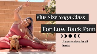 PLUS SIZE YOGA FOR LOWER BACK PAIN ✨ GENTLE CLASS FOR ALL LEVELS [upl. by Zelda]