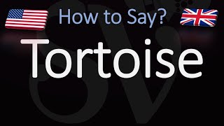 How to Pronounce Tortoise CORRECTLY [upl. by London593]