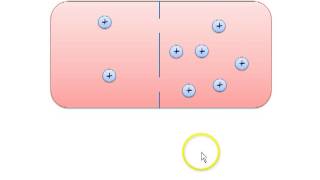 Membranpotential und elektrochemisches Gleichgewicht [upl. by Hi711]