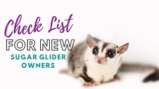 What you NEED for Sugar Gliders  Sugar Glider Diaries [upl. by Annairb]