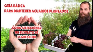 Guía básica para mantener acuarios 🌿plantados ☘️ SUSTRATOS NUTRITiVOS [upl. by Odla732]