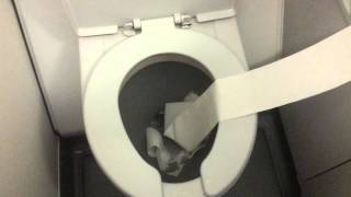 Airplane toilet paper flush Takes the whole roll in seconds [upl. by Umont]