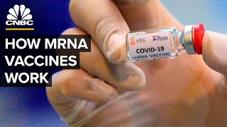 What Is An mRNA Coronavirus Vaccine [upl. by Colin]