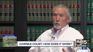 Juvenile Court How does it work [upl. by Lucilia347]