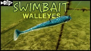 2 Ways to Target Walleyes With Paddle Tail Swimbaits [upl. by Base]