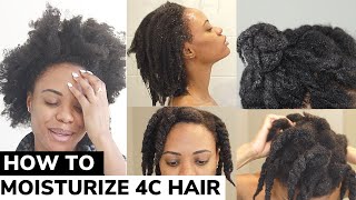 The ONLY Video You Need on How to Moisturize DRY 4C Natural Hair  DETAILED TUTORIAL 🙌🏽 💦 [upl. by Rostand876]