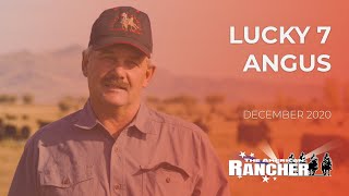 Lucky 7 Angus  The American Rancher [upl. by Ellehctim]