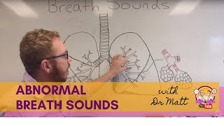 Abnormal Breath Sounds  Respiratory System [upl. by Am754]