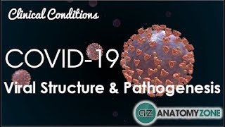 Coronavirus COVID19  Viral Structure amp Pathogenesis [upl. by Enel]