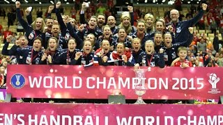 Netherlands VS Norway Handball final Womens World Championship Denmark 2015 [upl. by Zehc]