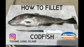 How To Fillet A Codfish Simple amp Easy amp Remove Parasites [upl. by Nwahsek]