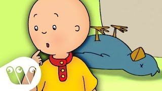 Cartoon Compilation  CAILLOU COMPILATION  Longest Caillou Video [upl. by Eddra]