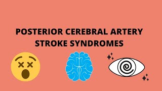 Posterior Cerebral Artery Stroke Syndromes  Anatomy  Clinical Features [upl. by Vincenta696]