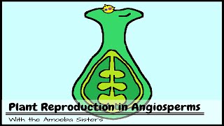 Plant Reproduction in Angiosperms [upl. by Tonnie]