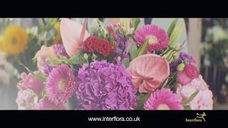 Interflora  The Flower Experts [upl. by Subak]