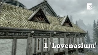 Skyrim Hearthfire Houses with Gameplay  Skyrim Cribs [upl. by Ardolino573]