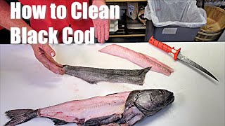 How to Clean Prepare Black Cod SableFish [upl. by Aeila]