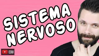 SISTEMA NERVOSO  FISIOLOGIA  Aula  Biologia com Samuel Cunha [upl. by Aliuqat]