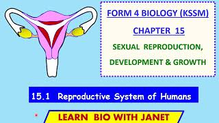 Biology Form 4 KSSM Chapter 15 151 Reproductive Systems of Humans [upl. by Mahan]