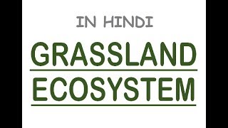 Grassland Ecosystem Tropical amp Temperate Explained With MAPS In Hindi [upl. by Woodie]