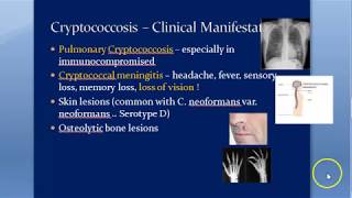 Microbiology 588 a Cryptococcus neoformans Cryptococcosis Cryptococcal meningitis Mycology Gattii [upl. by Parry]