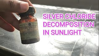 Silver Chloride Decomposition Reaction [upl. by Ainex]