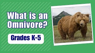 What is an Omnivore More Grades 35 Science [upl. by Norvan]